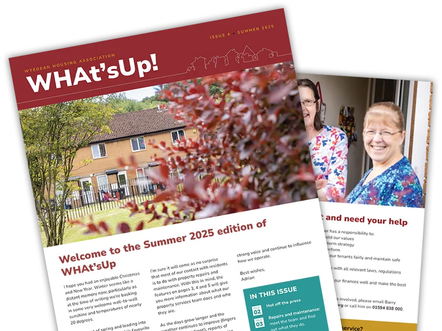whats up edition 4 - Summer 2025